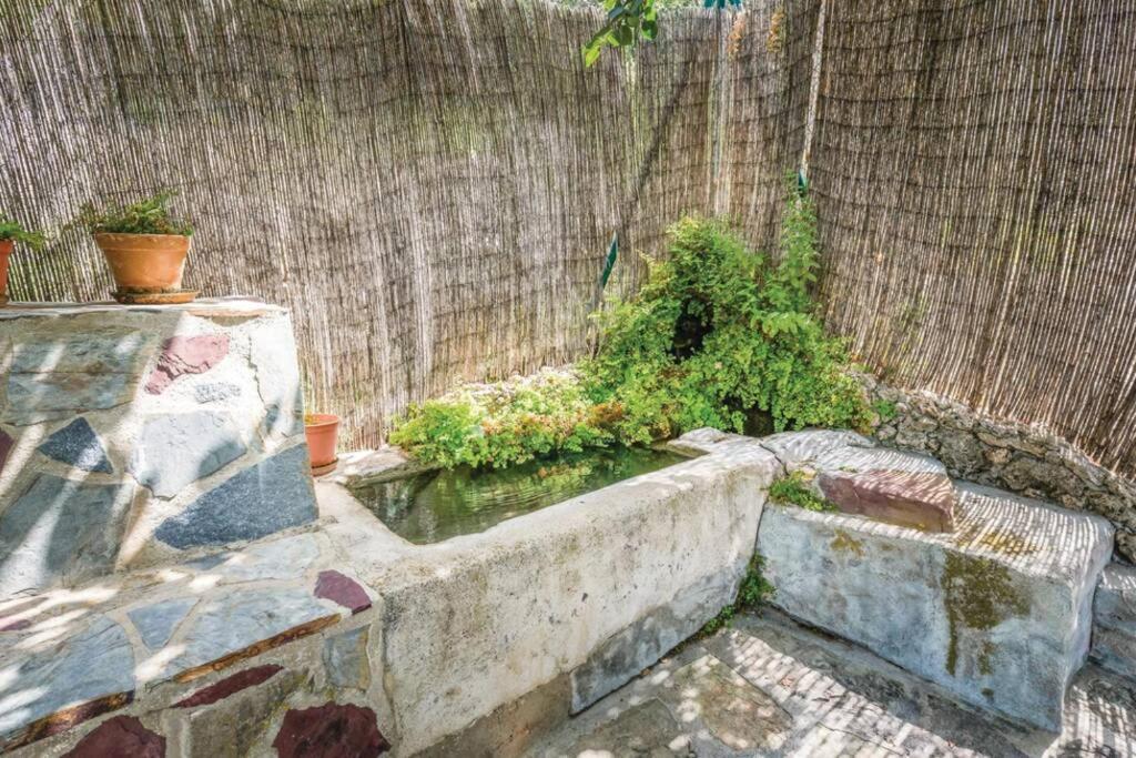El Manantial Villa Montecorto Kültér fotó